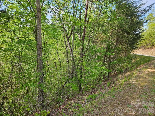 0 High Pines Loop 101, Lake Lure, NC 28746