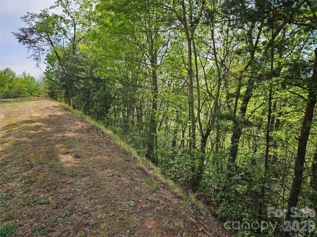 0 High Pines Loop 101, Lake Lure, NC 28746