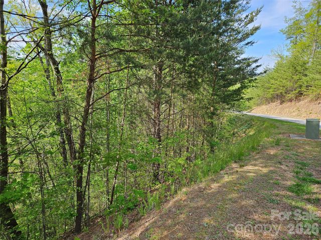 0 High Pines Loop 101, Lake Lure, NC 28746