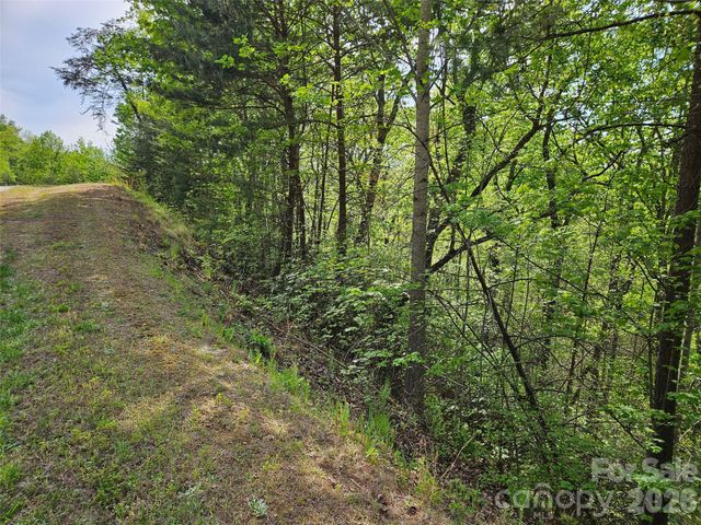 0 High Pines Loop 101, Lake Lure, NC 28746