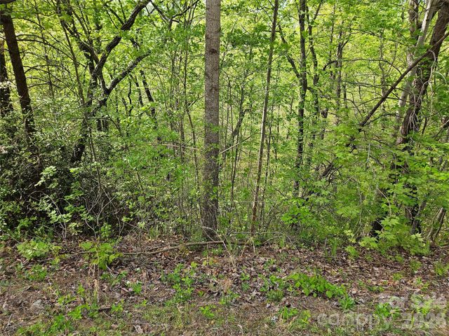 0 High Pines Loop 101, Lake Lure, NC 28746