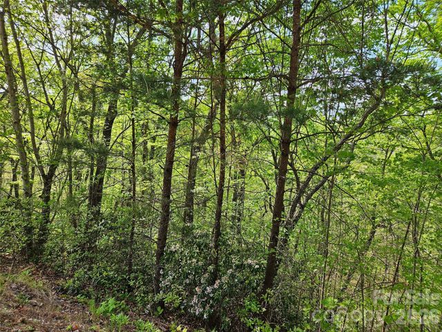 0 High Pines Loop 101, Lake Lure, NC 28746