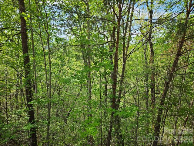0 High Pines Loop 101, Lake Lure, NC 28746