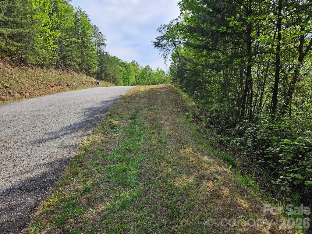0 High Pines Loop 101, Lake Lure, NC 28746