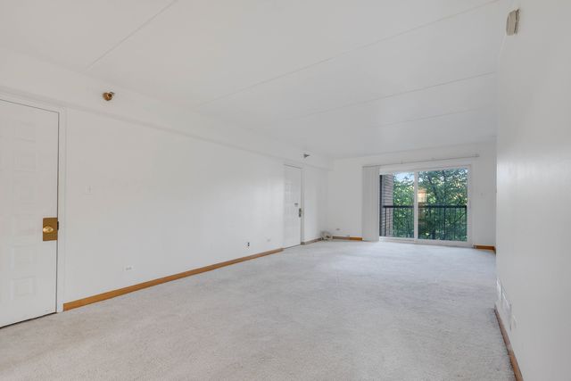 5960 Lake Bluff Drive 302, Tinley Park, IL 60477