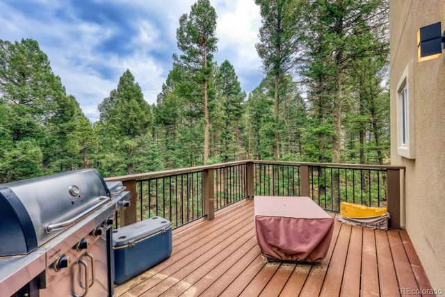 1897 N Mountain Estates Road, Florissant, CO 80816