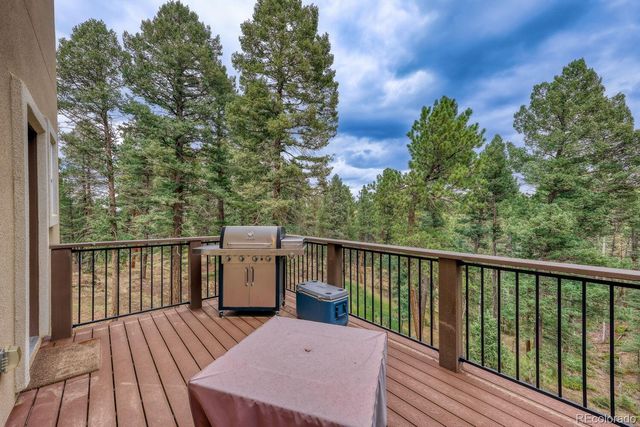 1897 N Mountain Estates Road, Florissant, CO 80816