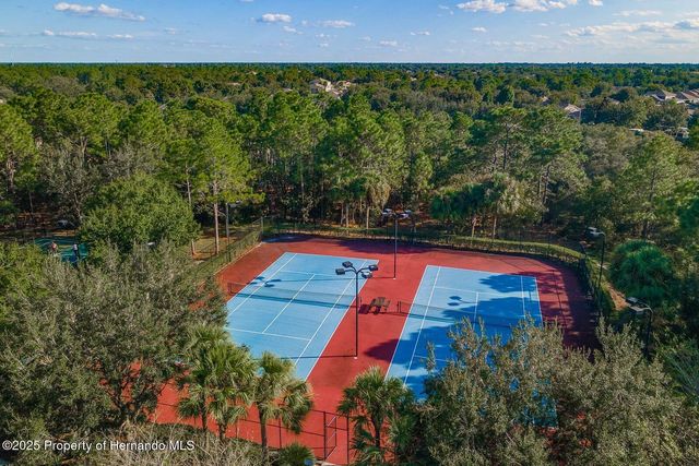 13637 Blythewood Drive, Spring Hill, FL 34609