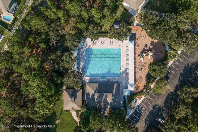 13637 Blythewood Drive, Spring Hill, FL 34609