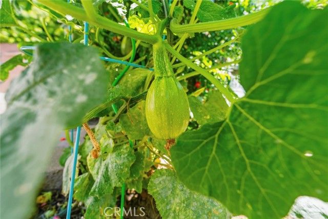 9546 Cecilia, Downey, CA 90241