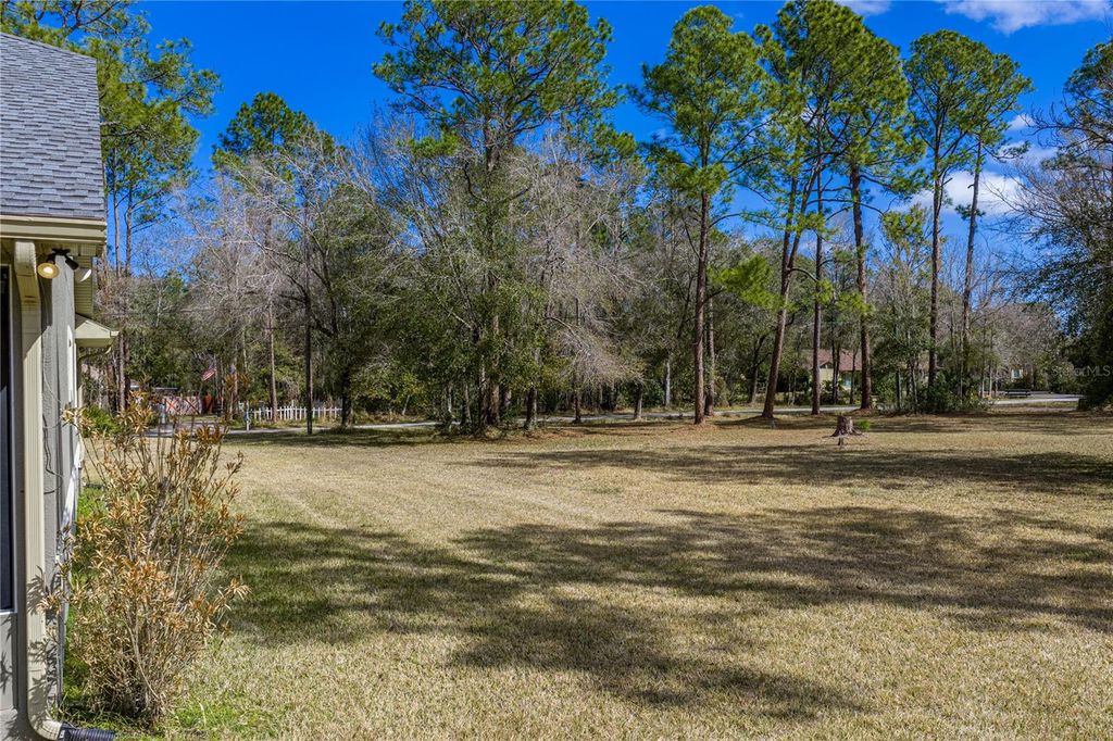 Image 63 of property listing at 27154 RAVENS BROOK ROAD, Wesley Chapel, FL 33544