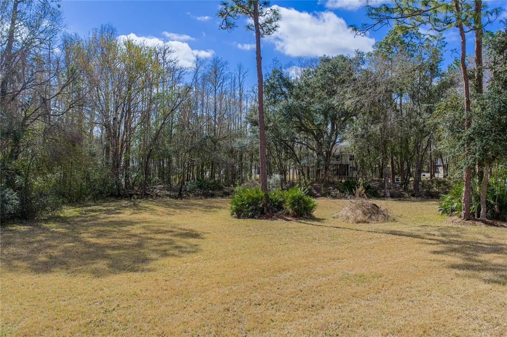 Image 65 of property listing at 27154 RAVENS BROOK ROAD, Wesley Chapel, FL 33544