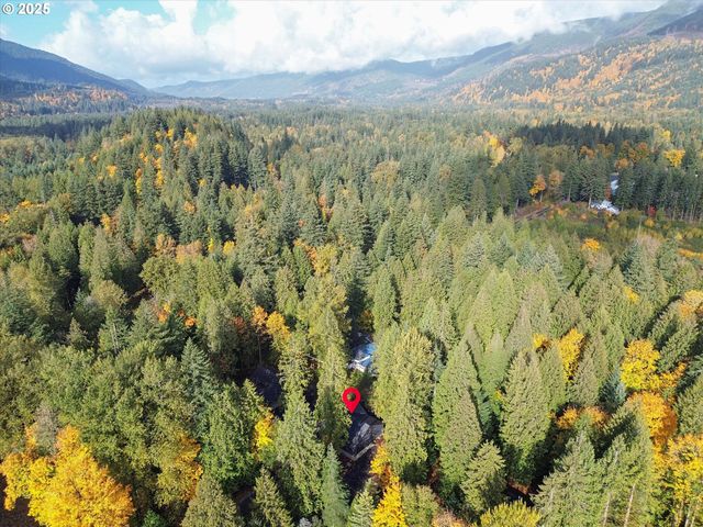 24512 E Bright Ave, Welches, OR 97067