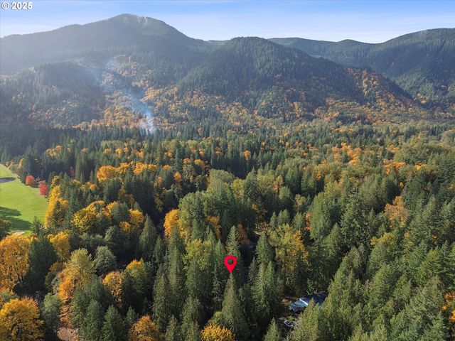 24512 E Bright Ave, Welches, OR 97067