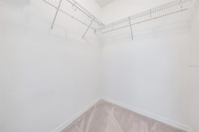 9248 FOX SPARROW ROAD, Tampa, FL 33626