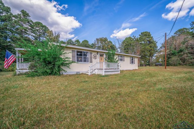 11537 violet rd, Ore City, TX 75683