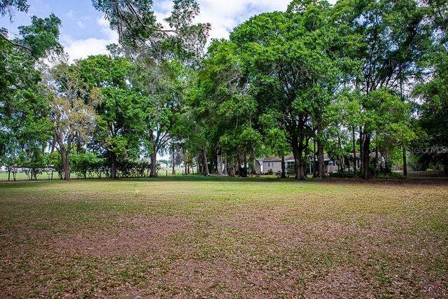 13815 PLAINVIEW ROAD, Odessa, FL 33556