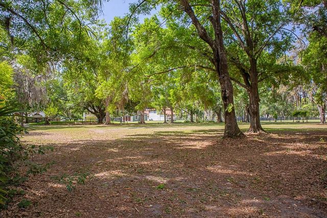 13815 PLAINVIEW ROAD, Odessa, FL 33556