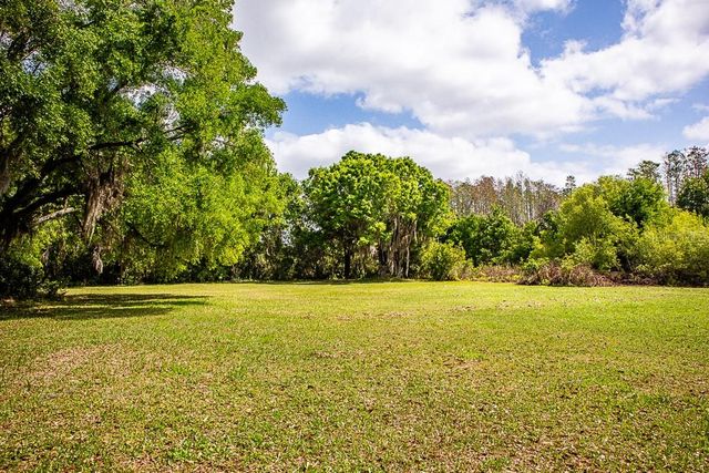 13815 PLAINVIEW ROAD, Odessa, FL 33556