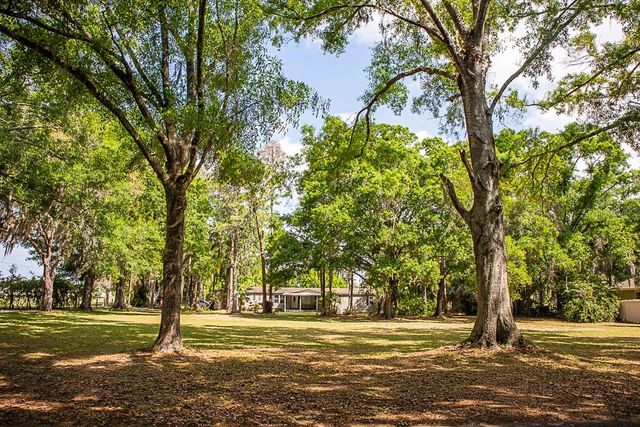 13815 PLAINVIEW ROAD, Odessa, FL 33556