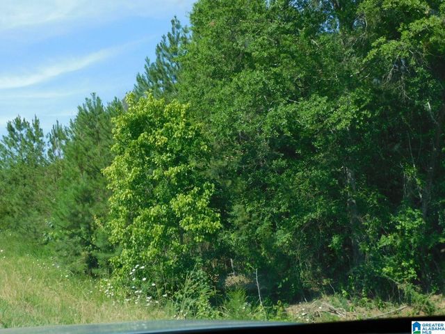 270 TREE HAVEN LANE, Calera, AL 35040