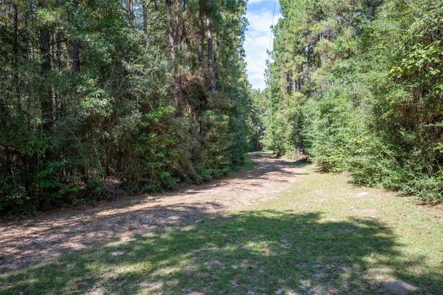 185 Private Road 7285, Colmesneil, TX 75938