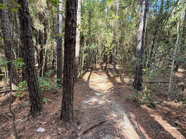 185 Private Road 7285, Colmesneil, TX 75938