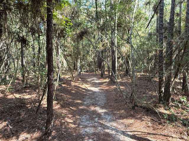 185 Private Road 7285, Colmesneil, TX 75938