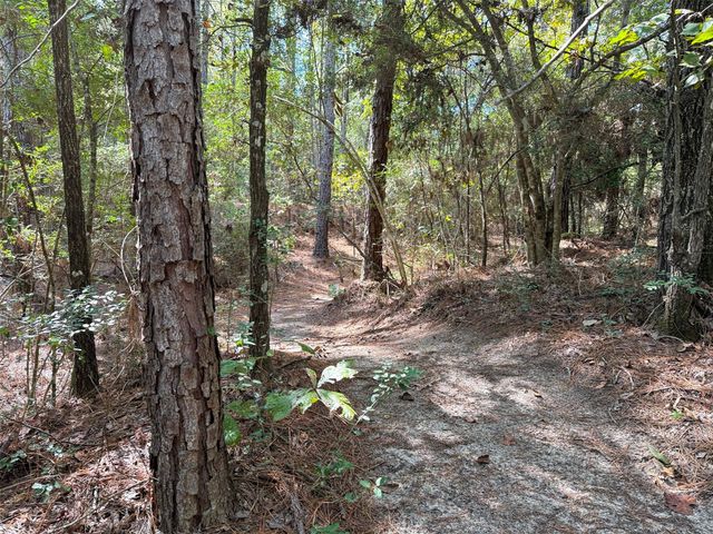 185 Private Road 7285, Colmesneil, TX 75938