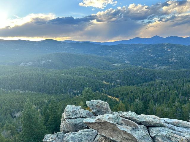 8320 S Warhawk Rd, Conifer, CO 80433