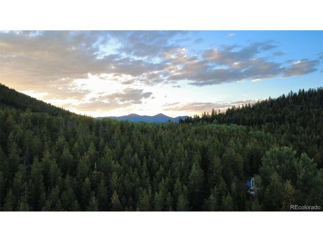 8320 S Warhawk Rd, Conifer, CO 80433