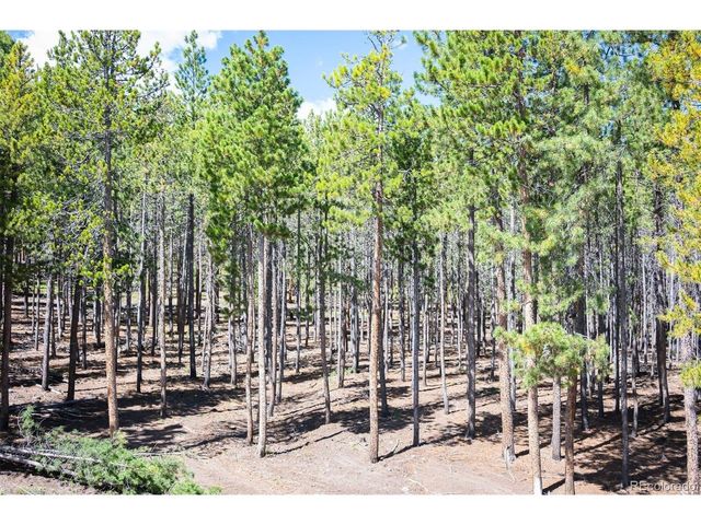 8320 S Warhawk Rd, Conifer, CO 80433