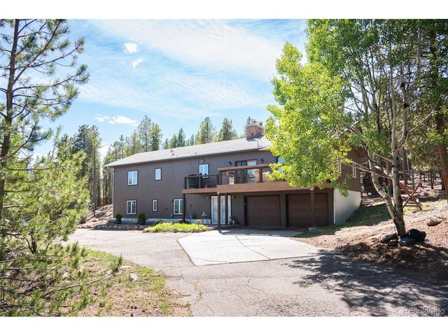 8320 S Warhawk Rd, Conifer, CO 80433