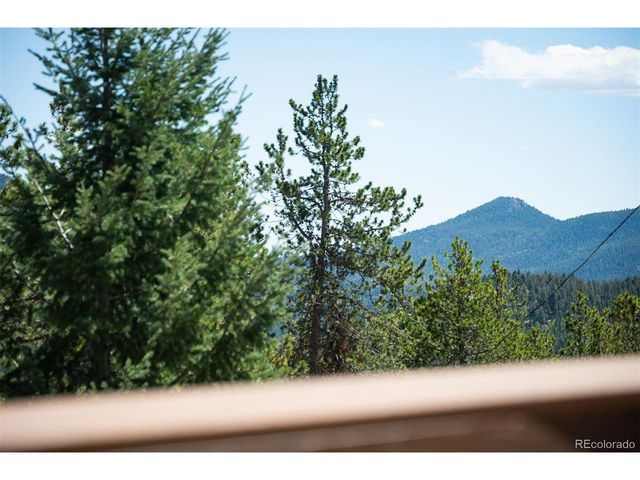 8320 S Warhawk Rd, Conifer, CO 80433