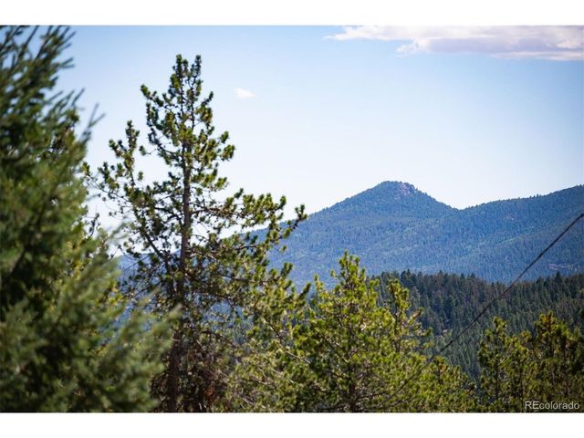 8320 S Warhawk Rd, Conifer, CO 80433