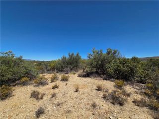 3 Terwilliger, Anza, CA 92539