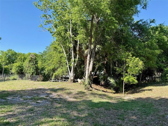 1240 ALLIGATOR ALLEY, Haines City, FL 33844