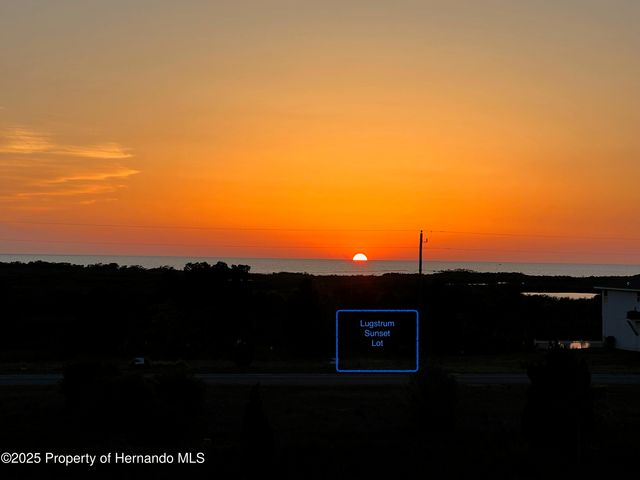 LOT 19 Lugustrum Drive, Hernando Beach, FL 34607