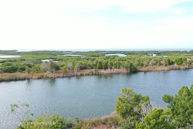 LOT 19 Lugustrum Drive, Hernando Beach, FL 34607