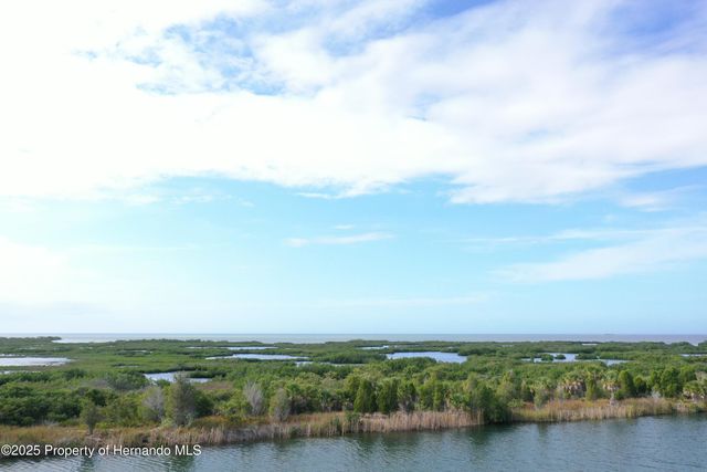 LOT 19 Lugustrum Drive, Hernando Beach, FL 34607