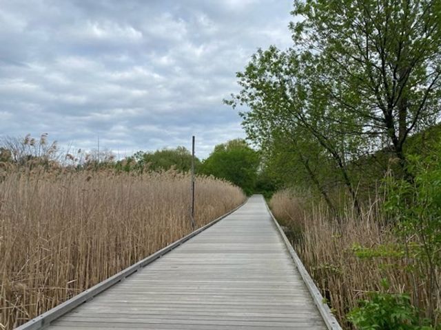 7 Arizona Terrace 2, Arlington, MA 02476