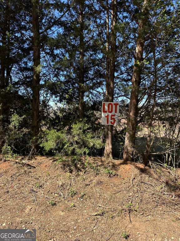 131 Oak Road LOT 15, Locust Grove, GA 30248