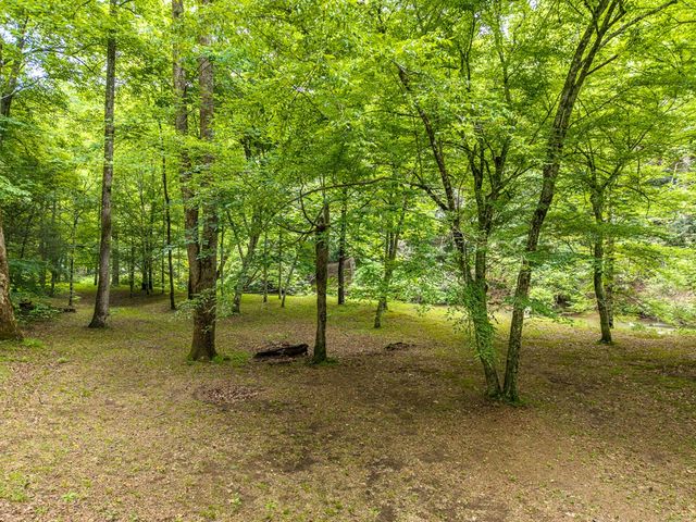 1774 Hicks Ford Road, Ellijay, GA 30540
