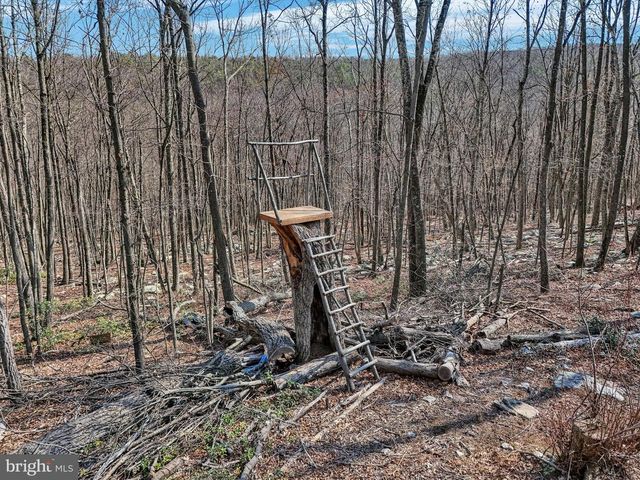 516 ROBERTS RD, Great Cacapon, WV 25422