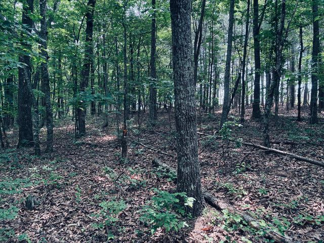 5140 Crockett Jf-177, Jasper, TN 37347