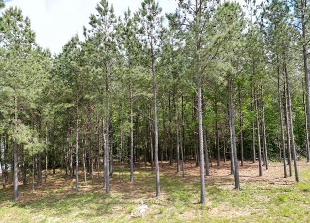 5140 Crockett Jf-177, Jasper, TN 37347