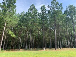 5140 Crockett Jf-177, Jasper, TN 37347