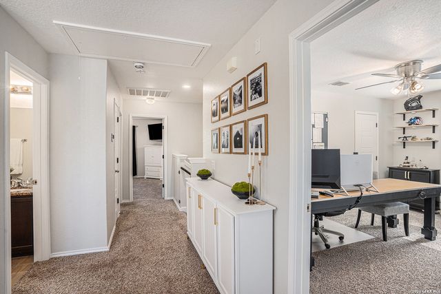 1310 Alaskan Wolf, San Antonio, TX 78245