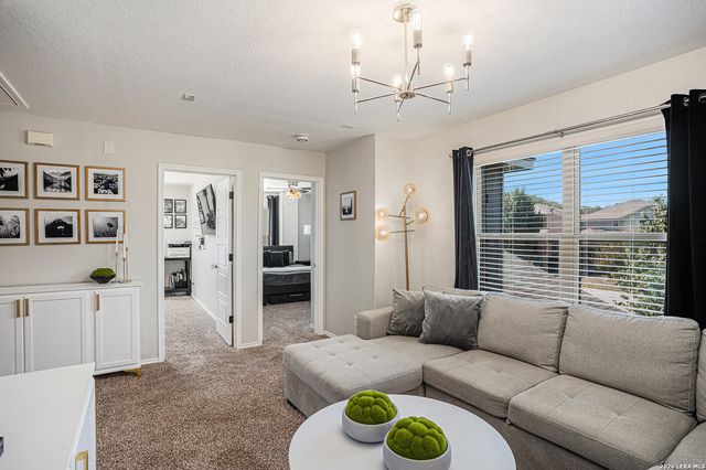 1310 Alaskan Wolf, San Antonio, TX 78245