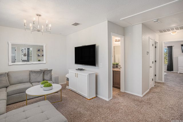 1310 Alaskan Wolf, San Antonio, TX 78245